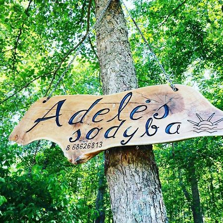Adeles sodyba Sturmai Kültér fotó