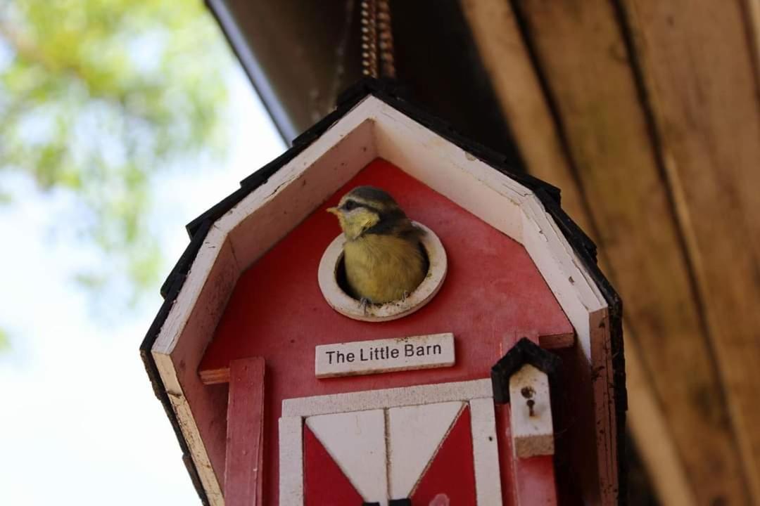 Adeles sodyba Sturmai Kültér fotó
