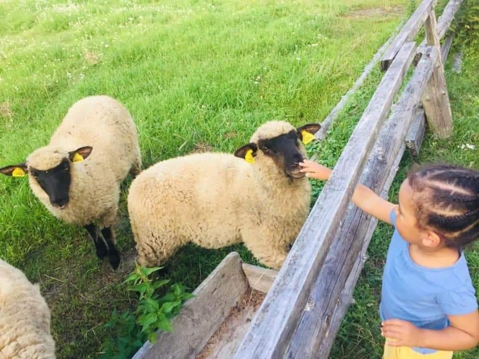 Adeles sodyba Sturmai Kültér fotó